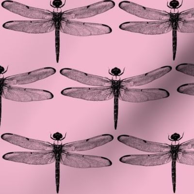 Dragonflies on Light Pink // Large