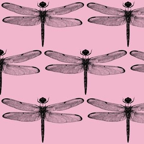 Dragonflies on Light Pink // Large