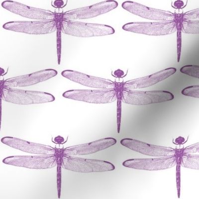Purple Dragonflies // Large