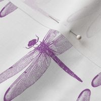 Purple Dragonflies // Large