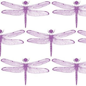 Purple Dragonflies // Large