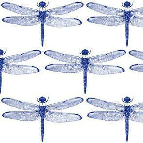 Blue Dragonflies // Large