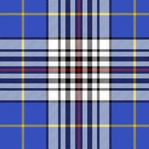 Thomson blue tartan, 6"