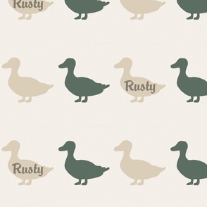 Rusty ducks