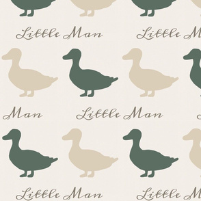 Ducks - little man - tan and green