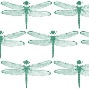 Aquamarine Dragonflies // Large