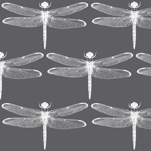 Dragonflies on Charcoal // Large