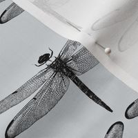 Dragonflies on Light Grey // Large