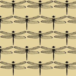 Dragonflies on Tan // Small