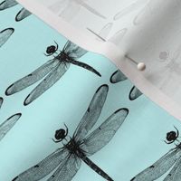 Dragonflies on Light Blue // Small