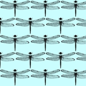 Dragonflies on Light Blue // Small