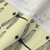 Dragonflies on Pale Yellow // Small