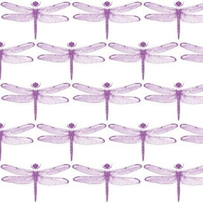 Purple Dragonflies // Small