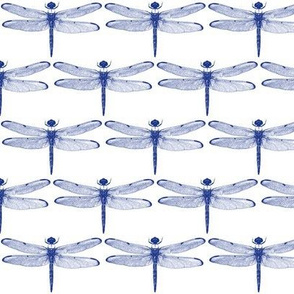 Blue Dragonflies // Small