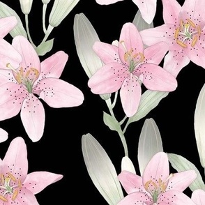 Pink Lilies on Black