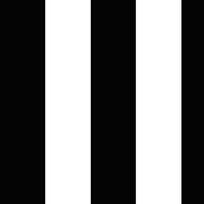 Bold black and white stripe