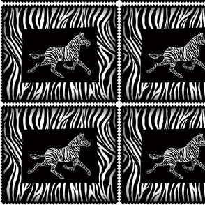 zebra on black and zebra background