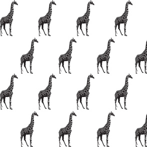 Monochrome Giraffe