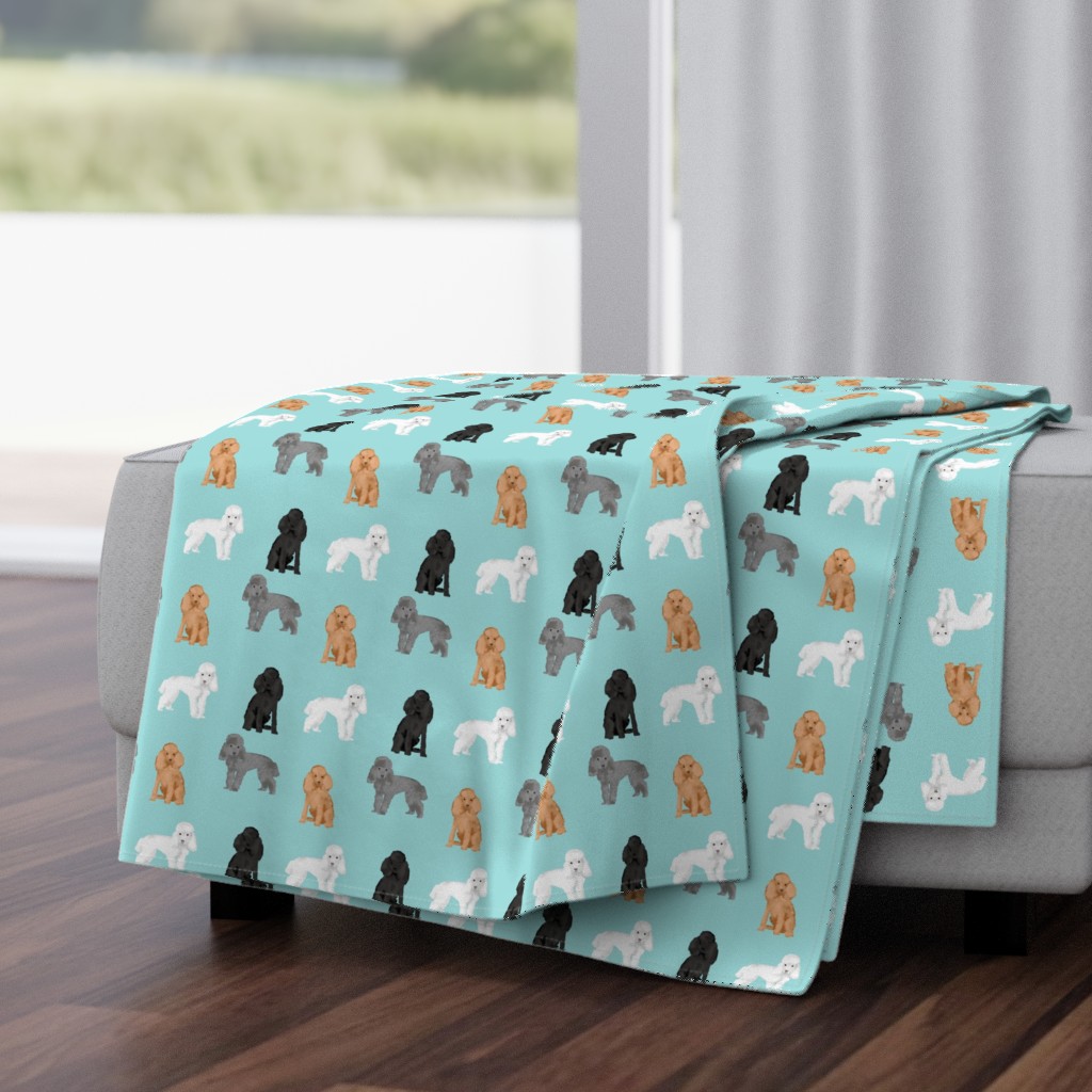 toy poodle mixed simple dog breed fabric light blue