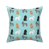 toy poodle mixed simple dog breed fabric light blue