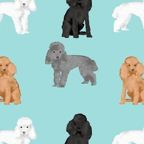 toy poodle mixed simple dog breed fabric light blue