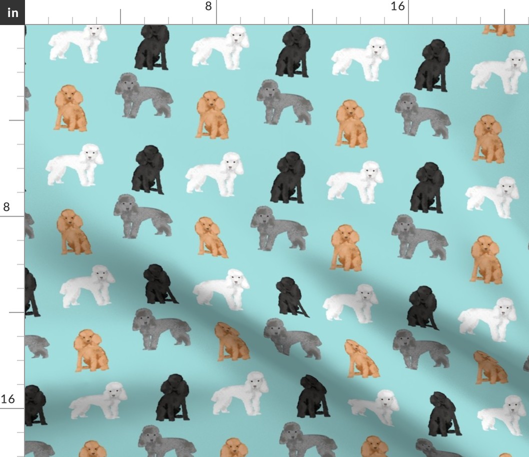 toy poodle mixed simple dog breed fabric light blue