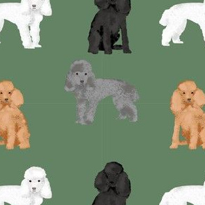 toy poodle mixed simple dog breed fabric green