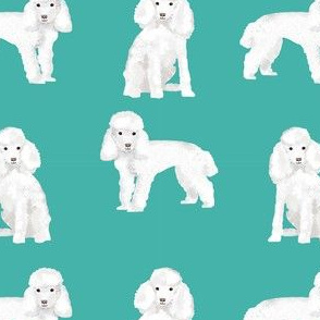 toy poodle white simple dog breed fabric turquoise