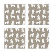 toy poodle white simple dog breed fabric medium tan