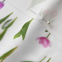 Pink and purple tulips tea towel 