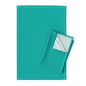 Solid Sea Green (#00afa8)