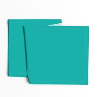 Solid Sea Green (#00afa8)