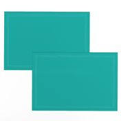 Solid Sea Green (#00afa8)