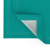 Solid Sea Green (#00afa8)