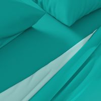 Solid Sea Green (#00afa8)