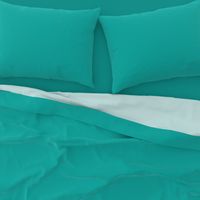 Solid Sea Green (#00afa8)