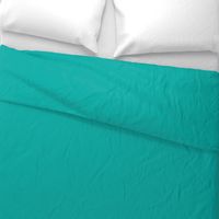 Solid Sea Green (#00afa8)