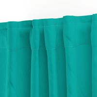 Solid Sea Green (#00afa8)