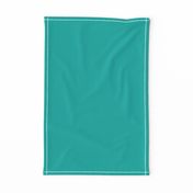 Solid Sea Green (#00afa8)