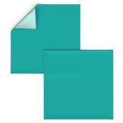 Solid Sea Green (#00afa8)