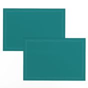 Solid Teal (#008080)