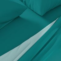 Solid Teal (#008080)