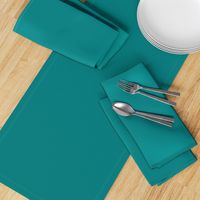 Solid Teal (#008080)