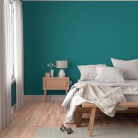 Solid Teal (#008080)