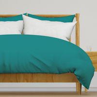 Solid Teal (#008080)