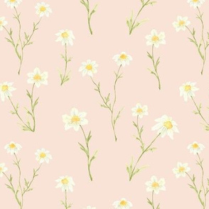 Dainty Daisy Pink