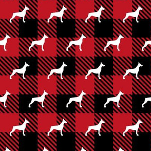 Doberman Pinscher Buffalo Plaid