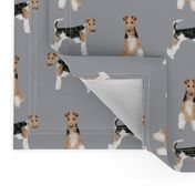 wire fox terrier simple dog breed fabric grey