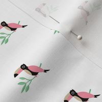 Tropical Toucan birds rainforest summer design mint pink