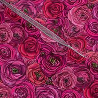 Ranunculus flowers // Magenta rose // bright